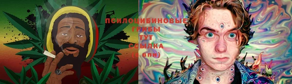 mdpv Богданович
